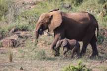 Christiane und Christian