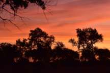 Mariola & Michael & Kinder